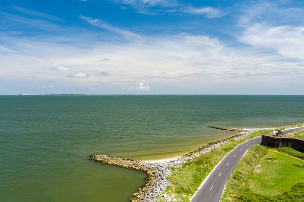 Quels sont les meilleurs spots pour observer les dauphins roses en Amazonie?